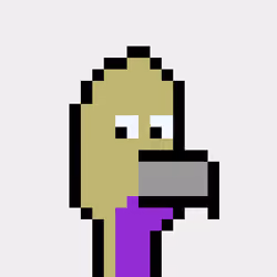 BitBird 484