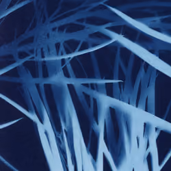 Grass Nest 2
