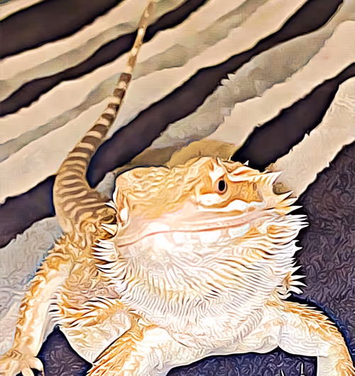 Item #101057092378302225736757120765437198261046760691228806068408150001268153122817 Media