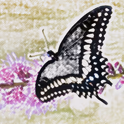 10162537437224382031479019658551907585229278444242708151782220021935162523649