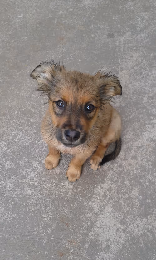 Item #25579458510723088414458302393573885562952514863402795926232317373601787412481 Media