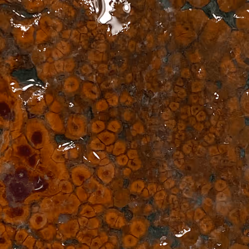 Untitled Collection #193791305 - old