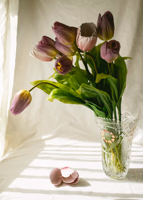 Item #65944253536368355183911176493195225270451461120377666666009501295953156505601 Media