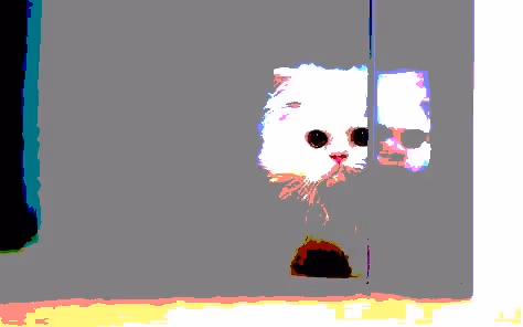 23538819986925566434507765811444276093104658907602947149672917291030882025473