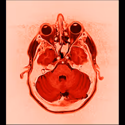 64162533542198579898252916190583583845604629893829087458582976055854785101825