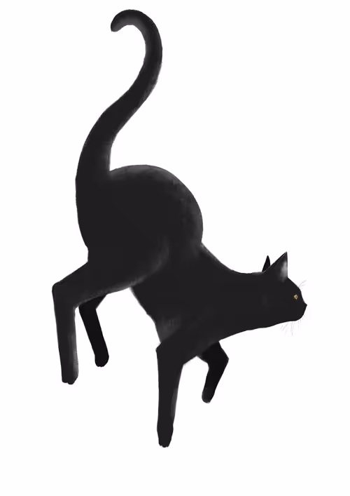 Item #82695799108276642583323751934613913274690371258081772662869305544289852325893 Media