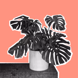 25379124807980713745219244606437574046087384809022650852355167110421400256513