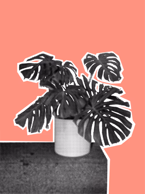 Item #25379124807980713745219244606437574046087384809022650852355167110421400256513 Media