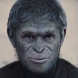 107453803328846220168752969032934446920664070849329610943153639599279209185281