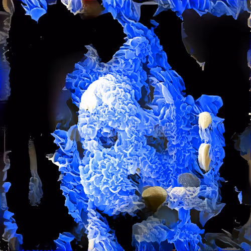 Item #1248788513922555687255519396397092396261495367837173637486584587677325066241 Media