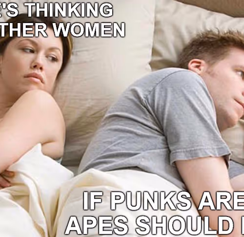 Curated Meme Collection