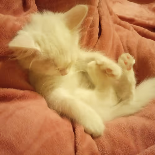 Item #763224073280193224173041358155125596503139434424356380946212156362085892097 Media