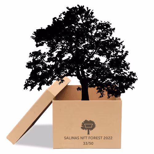 Item #63532776318757439562276927313719991273687356279339277108967620971725815021569 Media