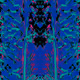 58634798829663089795358456549022693013816106785285099454649778110076882518017