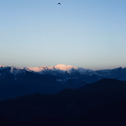 Editions by GurviK