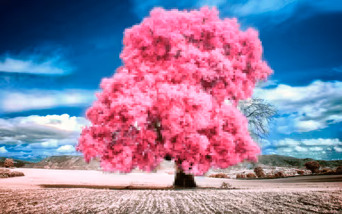 Item #105603725609947989499044129472074064723412167009068320432332286921828940644353 Media