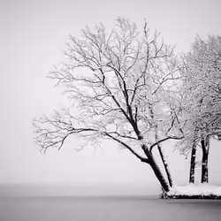 Sound of Silence #37