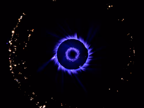 Item #45731211464929816441170859700976373292149702980452148839612468957804679397377 Media