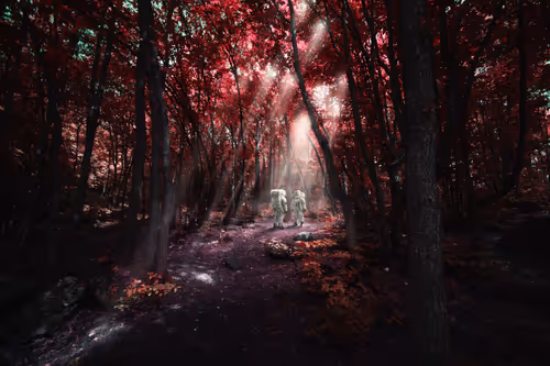 Item #29511697845116579399925011661064445951476116683601584807484795289688432705537 Media