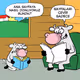 sutas Collection - old