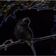 59563731760659869762882792571146247694886243400165364824631190577548919570433