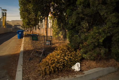 Item #97596376492587480991564299989885194485729582935183473269224319416848957308929 Media