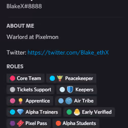 Blake the Core Team Boss