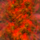 57891466565581375393317791957350294636730692350910062045503086299846425968641