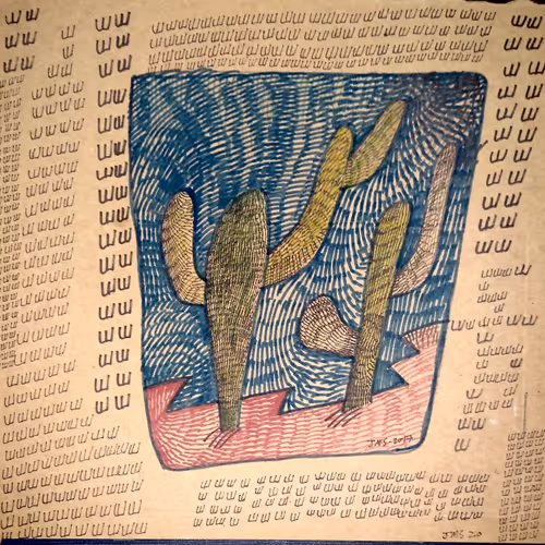 Jon Sarkin Cactus Comix