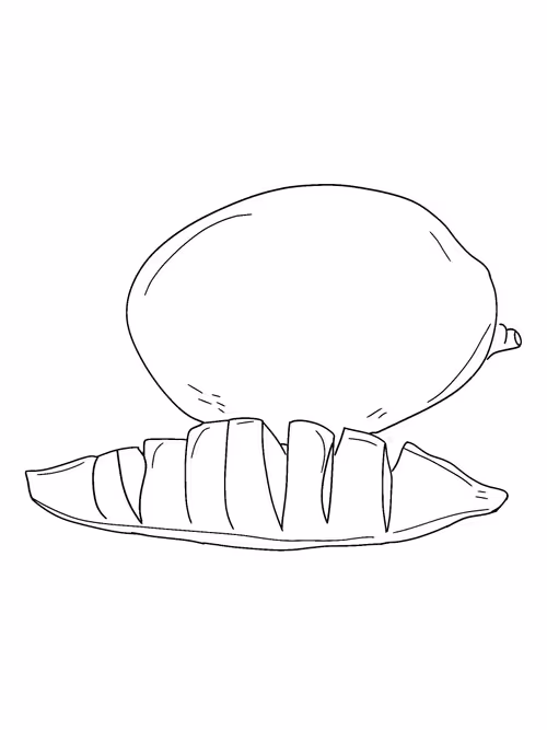 Item #88586504170275738881642373300592236200756239934994765531384634088655163490305 Media