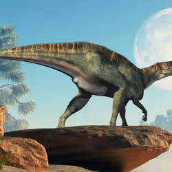 15201862250514145958676777466825728141953005429687029988591517105181681516545