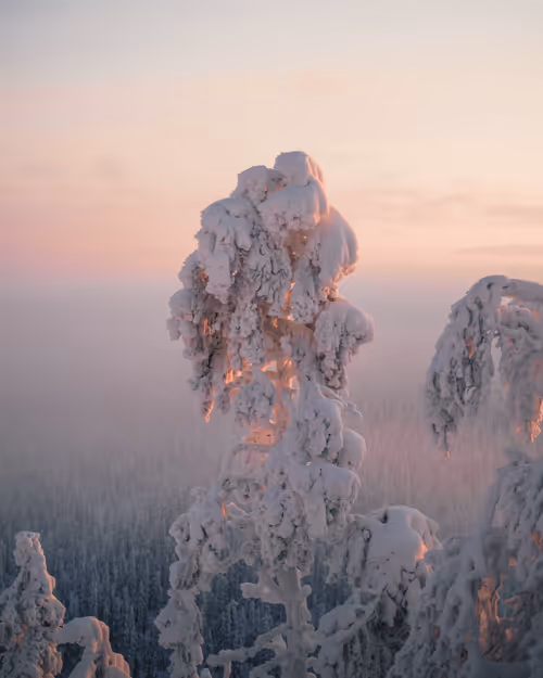 Item #85137439897558800446681939847979956921112818192745958846838338961158480855041 Media