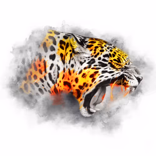 The Animal Kingdom Collection