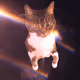 94105420533927603297763130370955625995700579002524610313172603959294730174465
