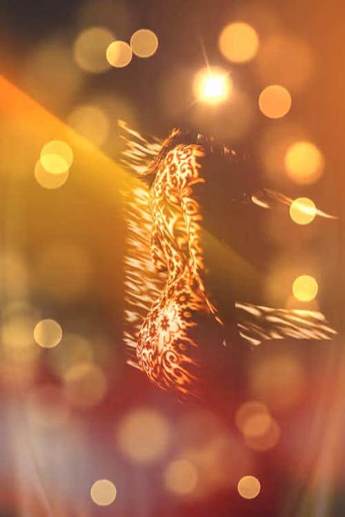 Item #40498021365110625873163859620955492987361950717153146364459205393567839158273 Media