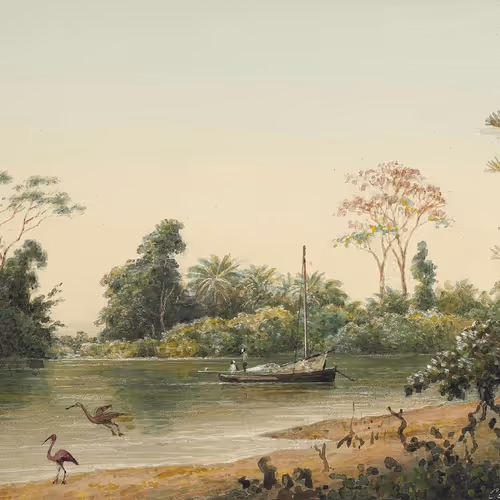 Trinbagohistoricalartcollective