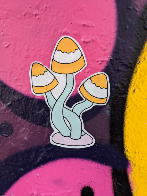 Item #74514486366930999863183303937488495413909095535195909856011804916094030839809 Media