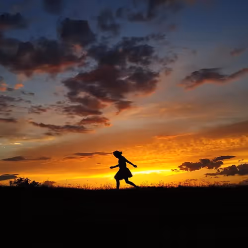 stephenwu Collection