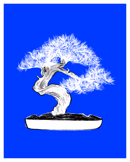 Item #109990569529100249910104175060987532296374552151615527288588051273686989144065 Media