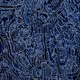 79009306092338673390971414454486078094209007420824354903114004214156632260609