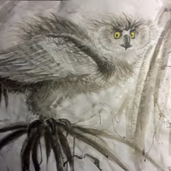 Yellow Eyed Owl