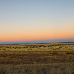 Warm Sky