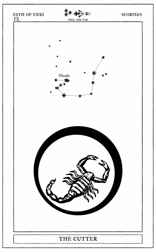 Item #72428202001668189821112342847260883540127111684781981942259052888234666229761 Media