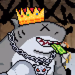 Cash Grab Shark Boy 1/1