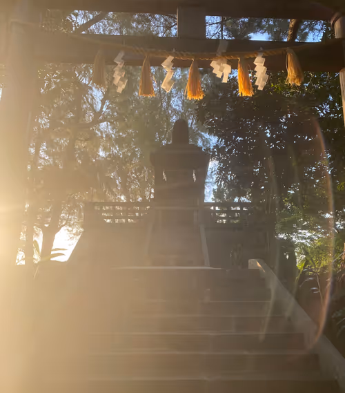 Item #57796657872563964882839192994686454961825338151837186783136296277847339696497 Media