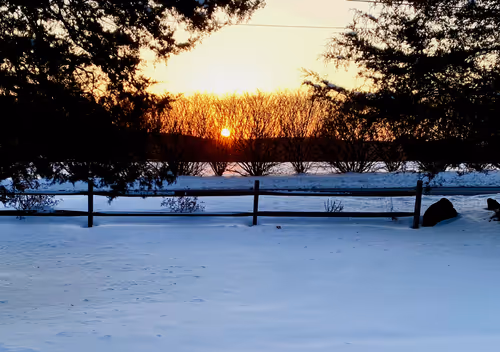 Item #11055945869368344522239947544098935470114969223831551671463462833094798606339 Media