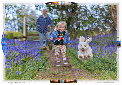 Item #6968899724388266606176016145545160509277227480062482001621938903068455207012 Media