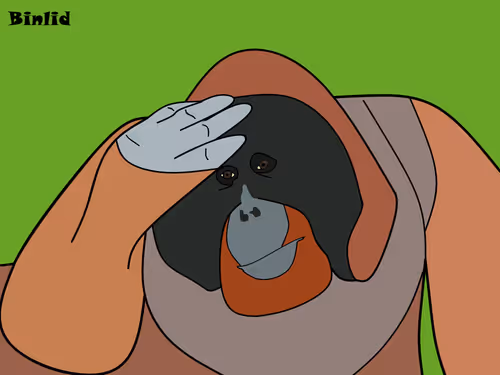 Item #24843950328459654647592333095373915695654115129450378637534313032120459591681 Media