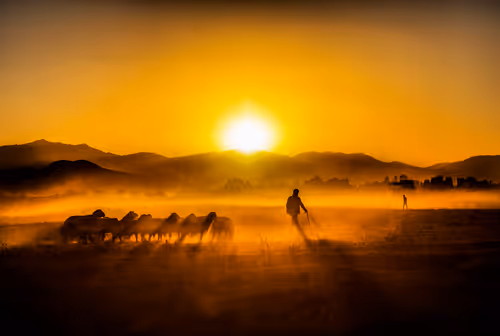 Item #78336967661345018987475827038620529724003295781777730507523429868659235880961 Media