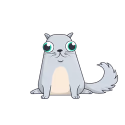 Kitti#70252